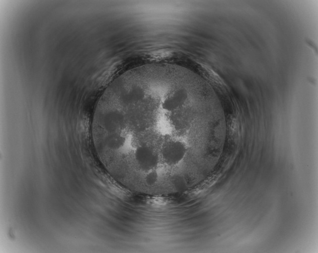 X0000098010565200803281315