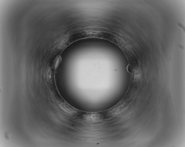 X0000098010567200803281315