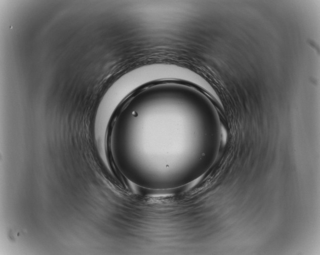 X0000098010568200803281315