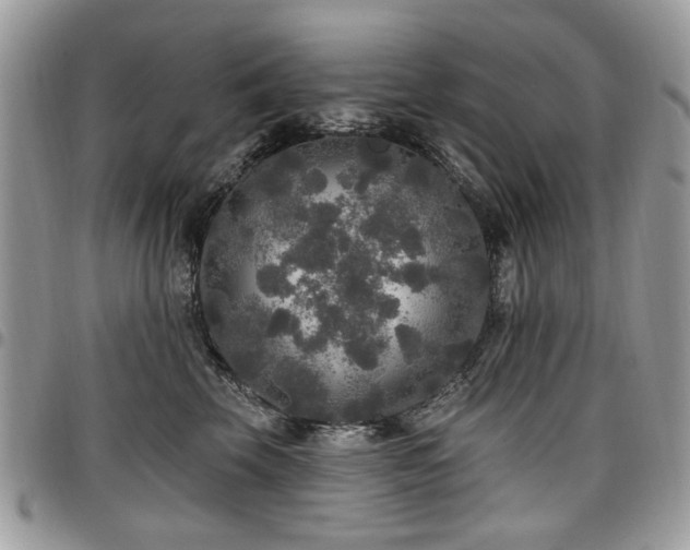 X0000098010569200803281315