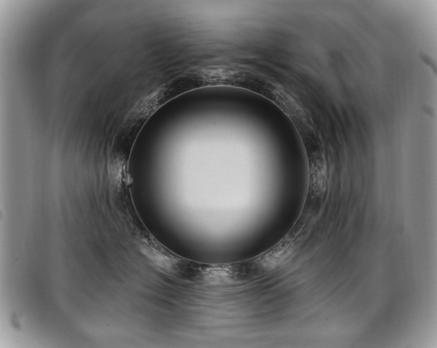 X0000098010574200803281315