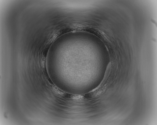 X0000098010576200803281315