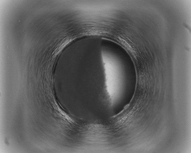 X0000098010577200803281314