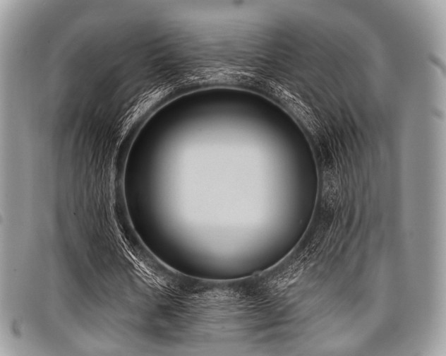X0000098010578200803281314