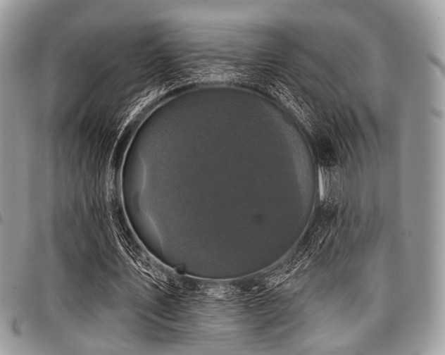 X0000098010579200803281314