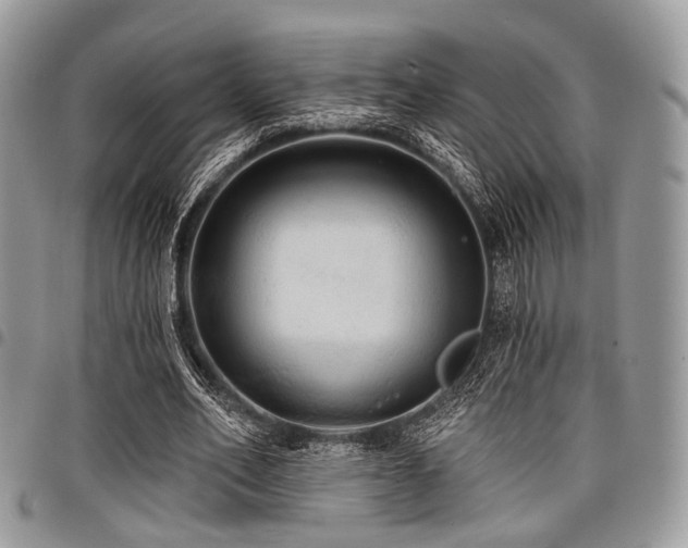 X0000098010582200803281314