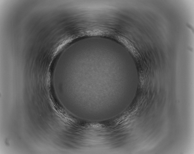 X0000098010583200803281314