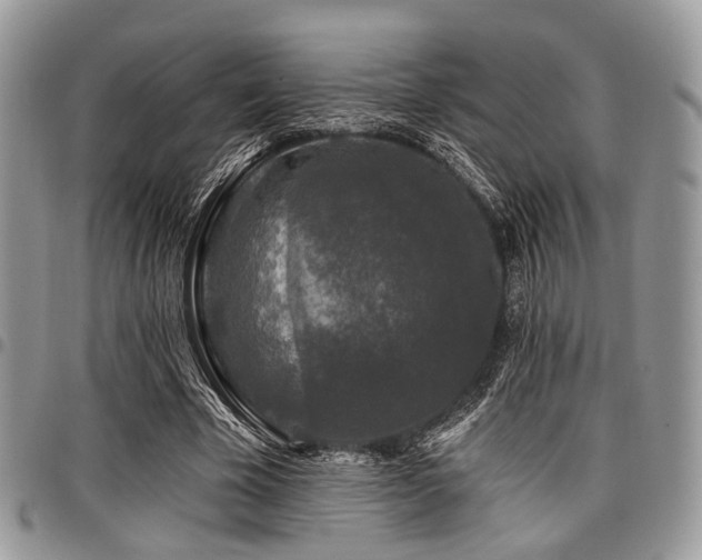 X0000098010585200803281314