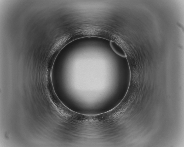 X0000098010586200803281314