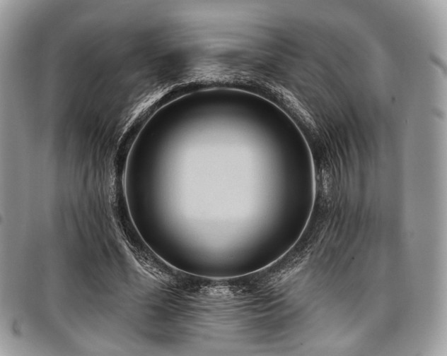 X0000098010588200803281314
