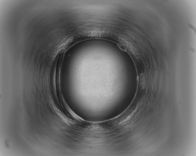 X0000098010589200803281314