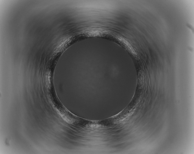 X0000098010590200803281314