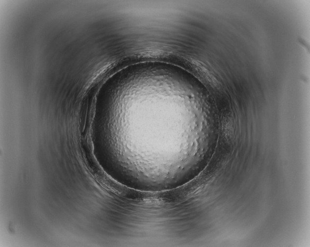 X0000098010591200803281314