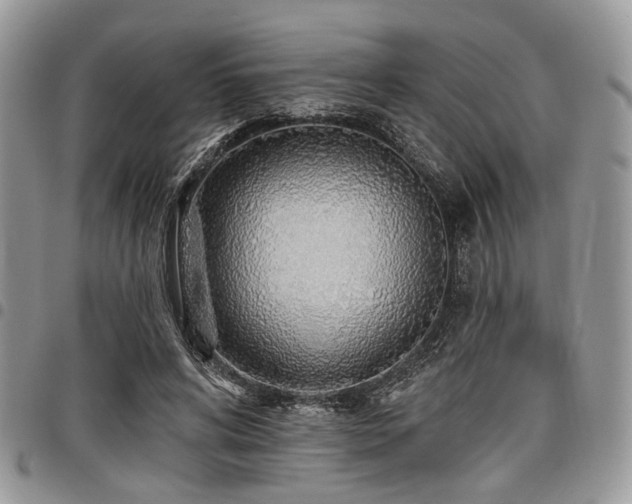 X0000098010592200803281314