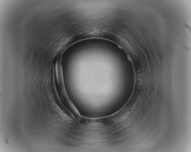 X0000098010593200803281314