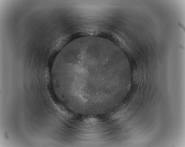 X0000098010594200803281314