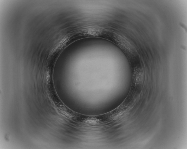 X0000098010595200803281314
