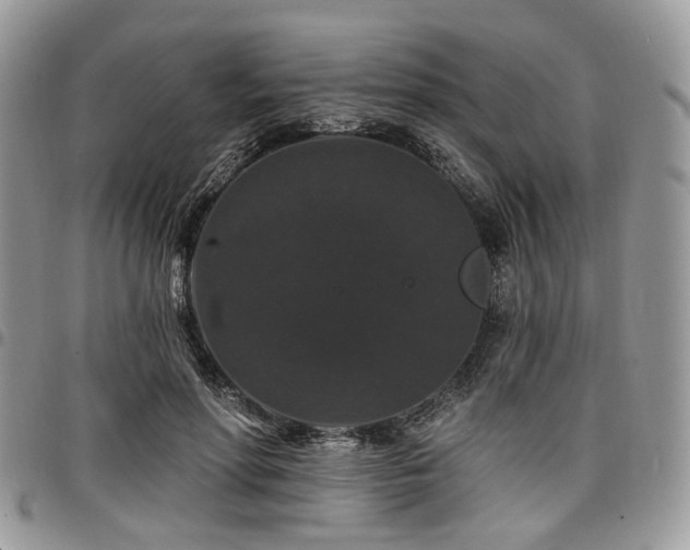 X0000098010598200803281314