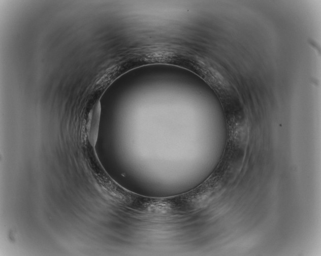 X0000098010599200803281314