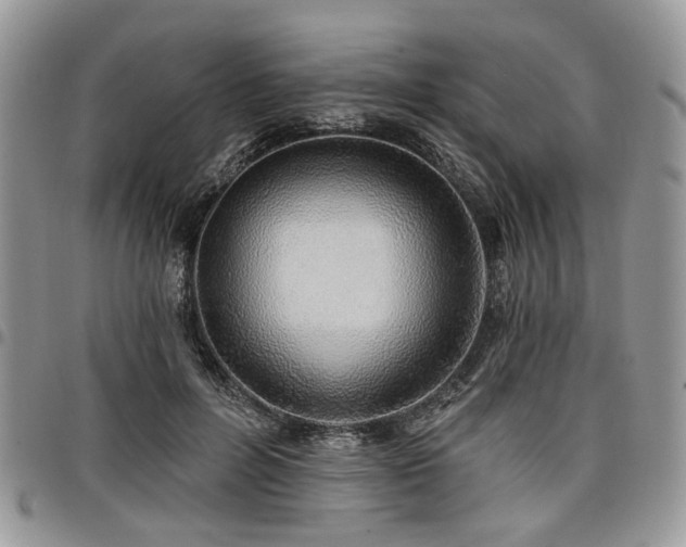 X0000098010600200803281314