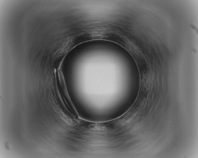 X0000098010601200803281313