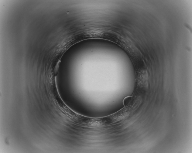 X0000098010604200803281313