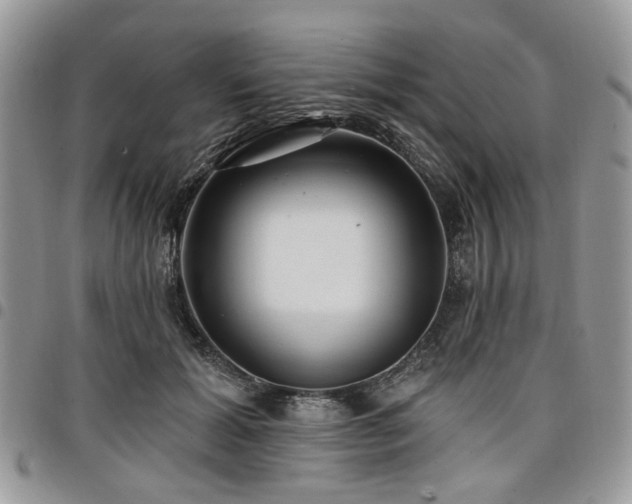 X0000098010605200803281313