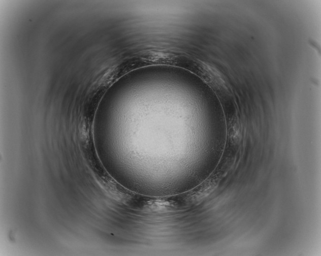 X0000098010607200803281313