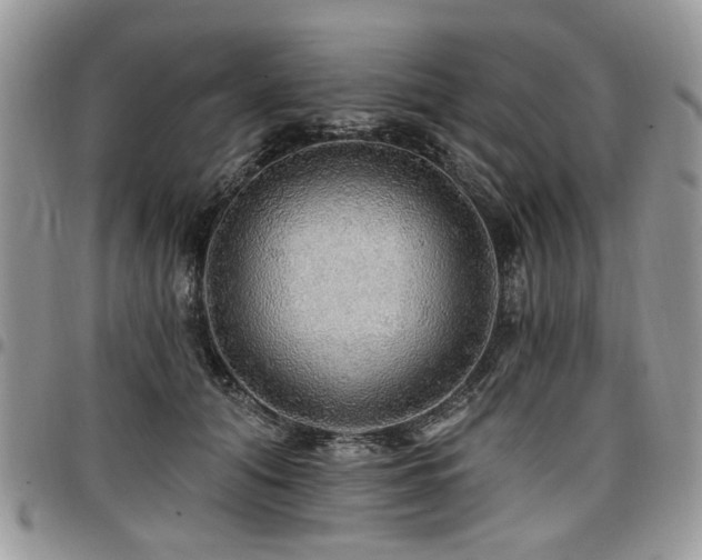 X0000098010608200803281313