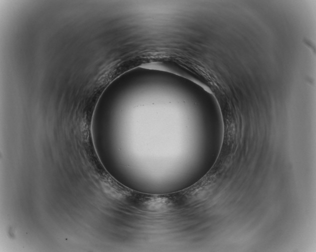 X0000098010609200803281313