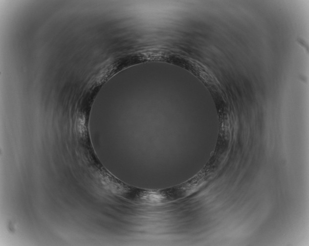 X0000098010610200803281313