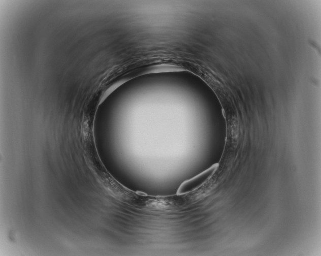 X0000098010611200803281313