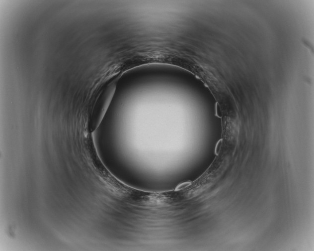 X0000098010612200803281313