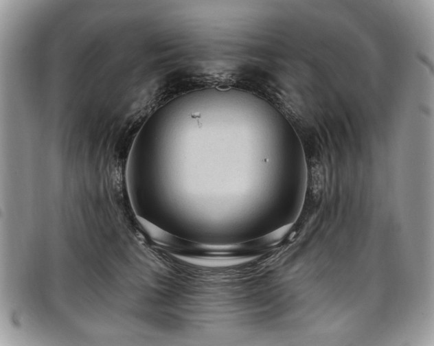X0000098010613200803281313