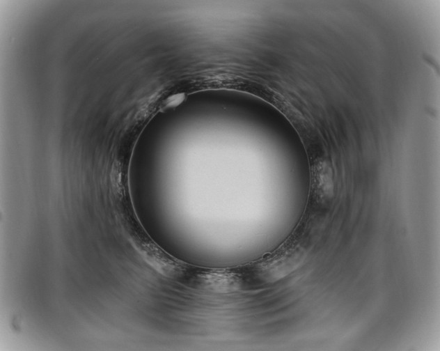 X0000098010615200803281313