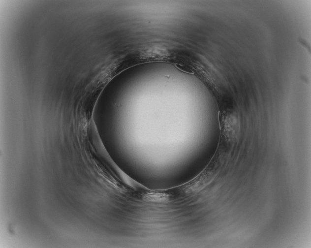 X0000098010617200803281313