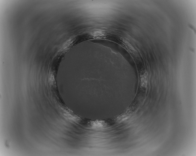 X0000098010618200803281313