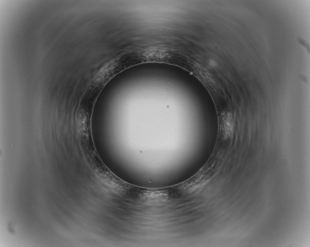 X0000098010619200803281313