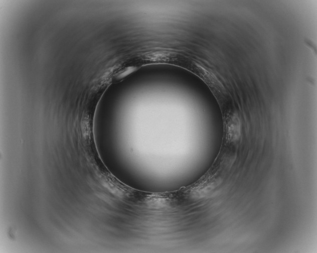 X0000098010620200803281313