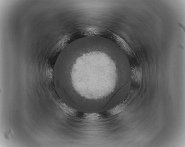 X0000098010621200803281313