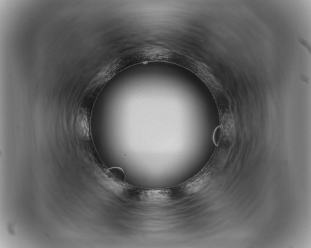 X0000098010622200803281313