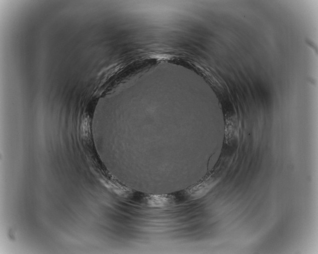 X0000098010623200803281313