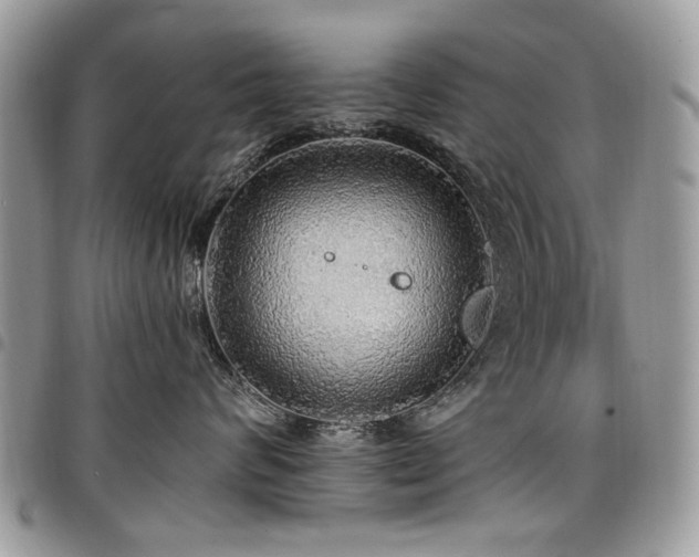 X0000098010624200803281313