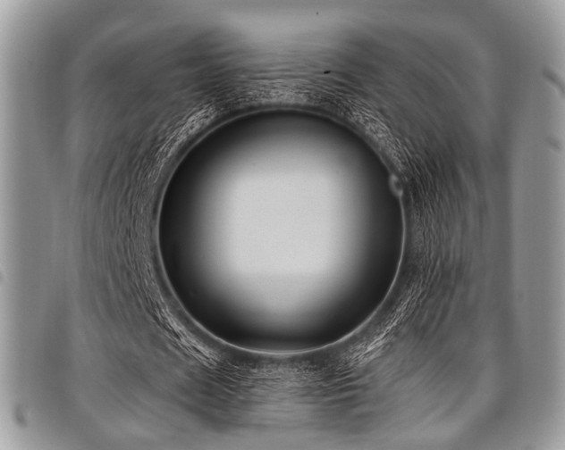 X0000098010625200803281313