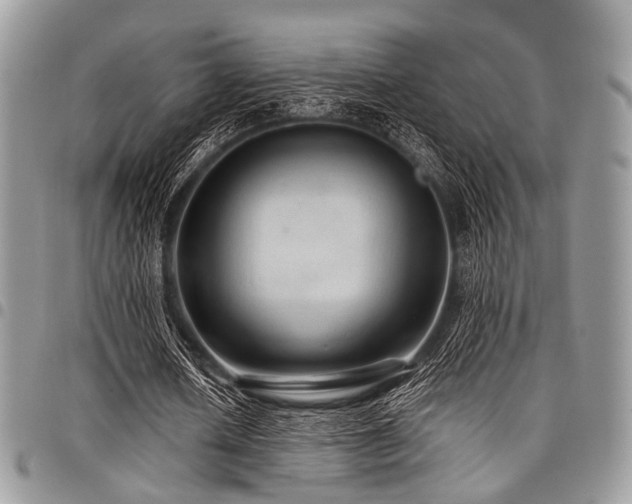 X0000098010626200803281313
