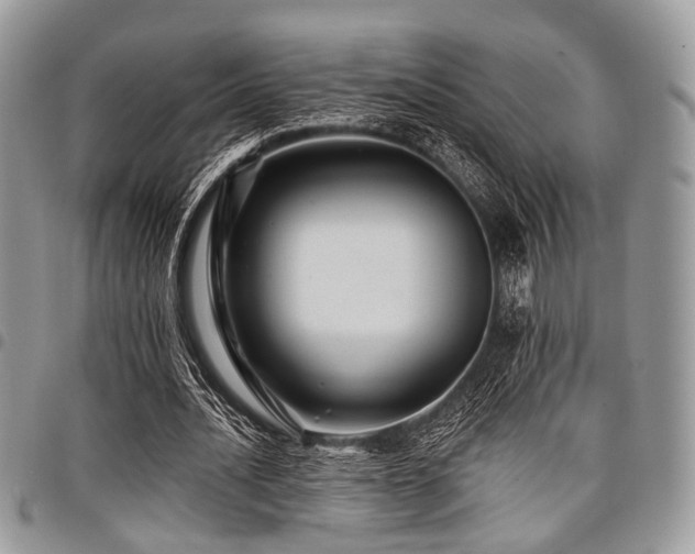 X0000098010628200803281313
