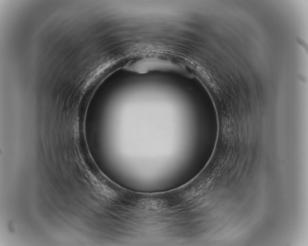 X0000098010629200803281313