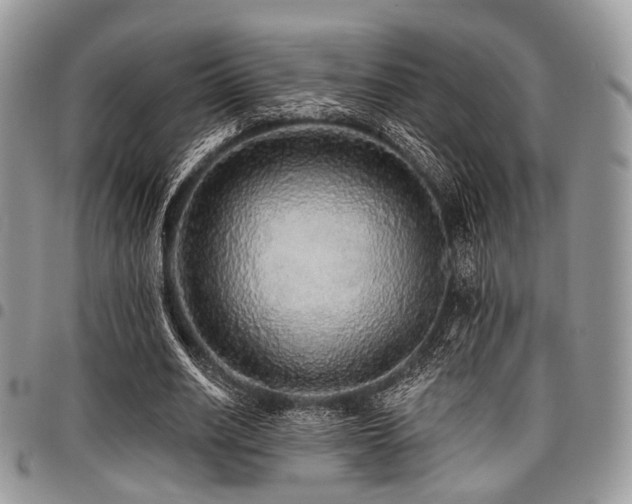 X0000098010630200803281313