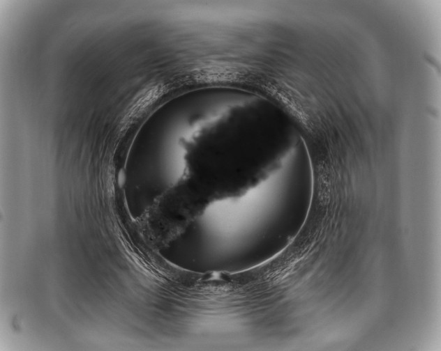 X0000098010631200803281313