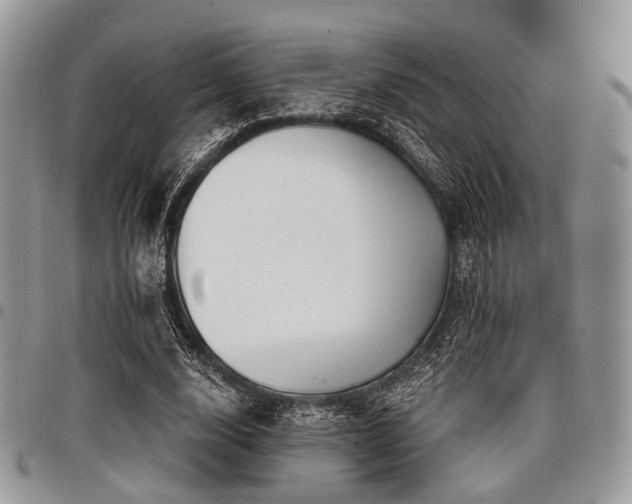 X0000098010632200803281313